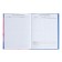 Diary for grades 5-11 "Shine!", Firm cover, glossy lamination, 48 sheets