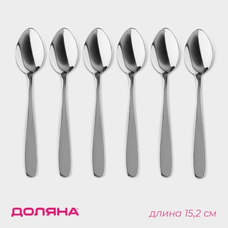 A set of spoons of tea shares "Simple", length 15.2 cm, 6 pcs, silver color
