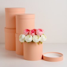 Set of round boxes 5 in 1 