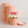 Set of round boxes 5 in 1 "peach", 25 x 25 - 19 x 19 cm