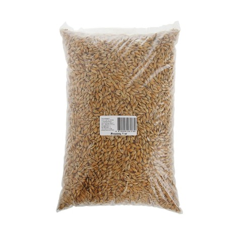 Seeds of barley "Possesses", 1 kg
