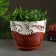 Pot floral waltz 3.5 l