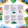 Board game “Find the difference“ Fun confusion ”, Blue Tractor