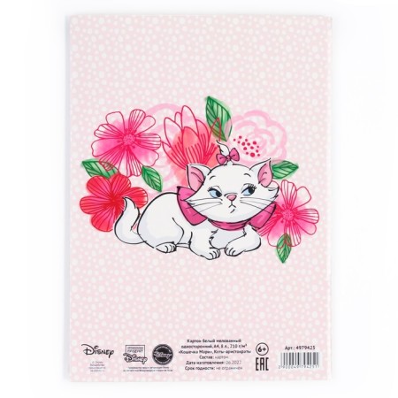White cardboard, A4, 8 sheets, shared, one -way, in the folder, 210, g/m², cats aristocrats-6