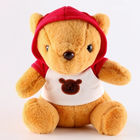 Soft toy "Bear" in the jacket, 23 cm, color mix-6