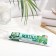 Toothpaste Spring, head of mint, refreshing mint, 90 g, without case
