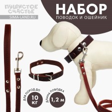 Set of collar (40-54x2.5 cm) and leash (130x1.2 cm) reptiles, brown