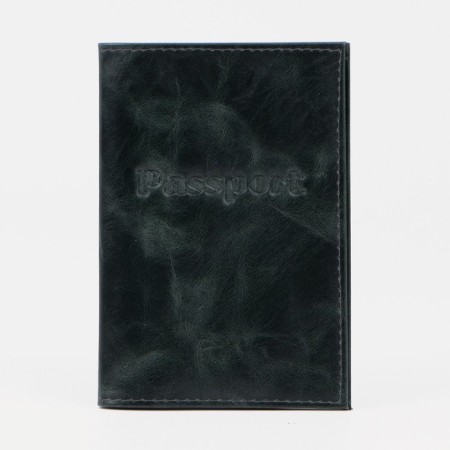 Cover for passport, green color