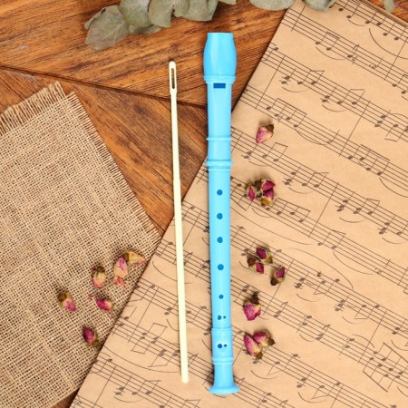 Music Life Blockflate, Blue, German System, Soprano, 30 cm-1