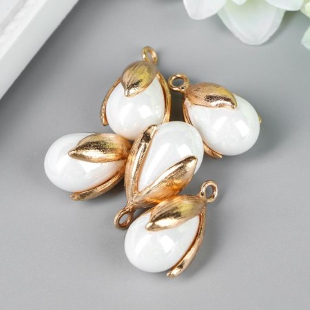 Decor for creativity plastic "Pearl in a sink with a loop" set of 5 pcs 1.2x1.6 cm