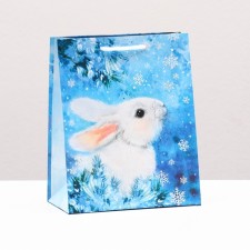 Gift package 