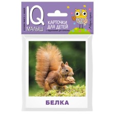 A set of cards for children 
