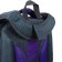 School backpack 38 x 30 x 16 cm, ergonomic back, stavia "cat", multicolor/gray