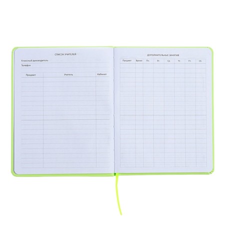 Universal diary for grade 1-11 Capybara, hard cover, artificial leather, silkography, lies, 80 g/m2-5