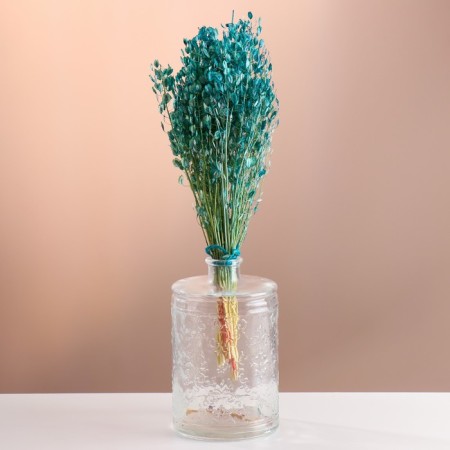 Set of dried flowers "Monetnik", banch length 60 (+/- 6 cm), turquoise