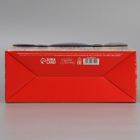 Folding box “Magic Gift”, 22.5 x 9 x 19.5 cm, New Year-5