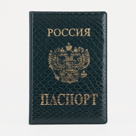 Cover for passport, green color-1