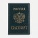 Cover for passport, green color
