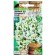 Flower seeds lion Zev "fireworks" F1 white, ampel, o, 3 pcs