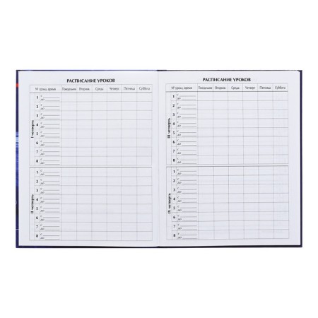 Diary for grades 5-11, 48 sheets "Racing", hard cover, glossy lamination-5