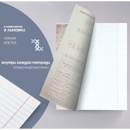 A set of subject notebooks of 48 sheets, "black-white", 10 items with reference material, covered paper cover, block No. 2, whiteness 75% (gray sheets)-5