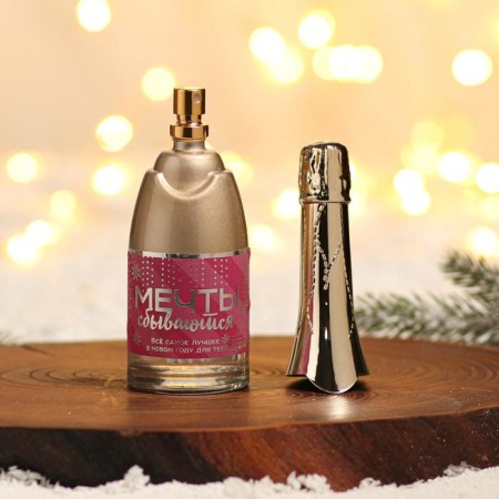 Toilet water "Paris with gifts", 100 ml-3