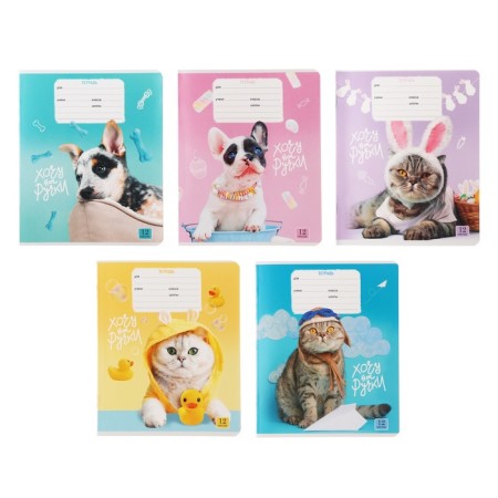 Notebook 12 sheets in a cage on a clip of "cat-piles", cover shaked cardboard, VD-pound, mix