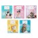 Notebook 12 sheets in a cage on a clip of "cat-piles", cover shaked cardboard, VD-pound, mix