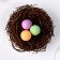Easter decor "Nest + 3 eggs"