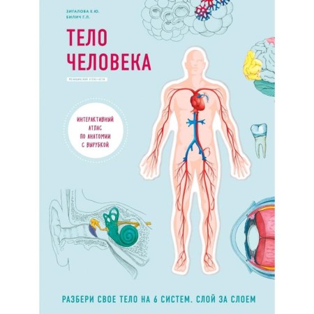 The human body. Interactive atlas on anatomy with cutting. Understand your body to 6 systems