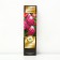 Hydrangea blizzard suite "Frez Melba" 1 pc, tube, spring 2025