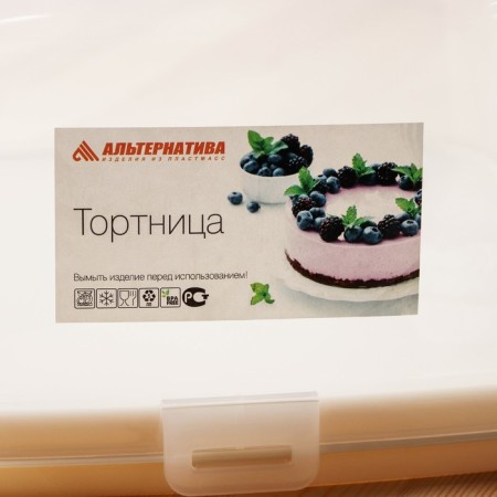 Cake with a lid, 28.5 × 28.5 × 17.5 cm, beige color-4