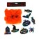 Carnival set of witches, web, decor