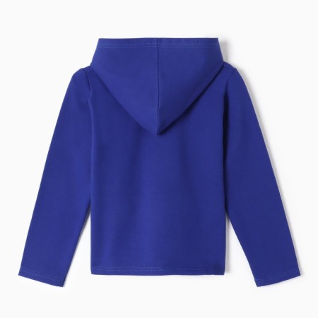 Sweatshirt for boys, dark blue color, height 104 cm-3