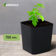 Pot for seedlings, 700 ml, d = 9 cm, h = 11 cm, black, Greengo