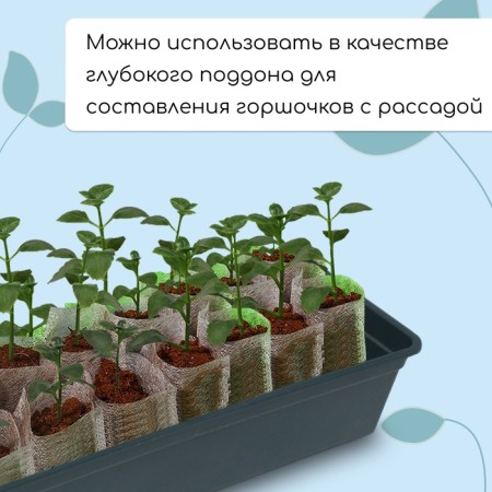 Box for seedlings, 50 × 15 × 10 cm, 5 l, black, "crop-5"-3