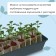 Box for seedlings, 50 × 15 × 10 cm, 5 l, black, "crop-5"