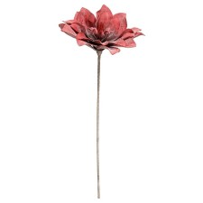 Foamir's flower 