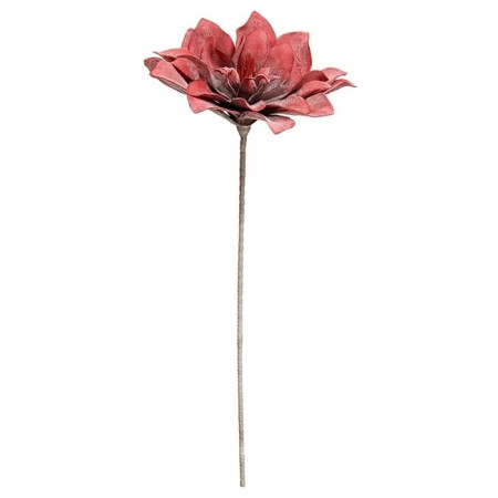 Foamir's flower "Herbera Autumn", height 98 cm