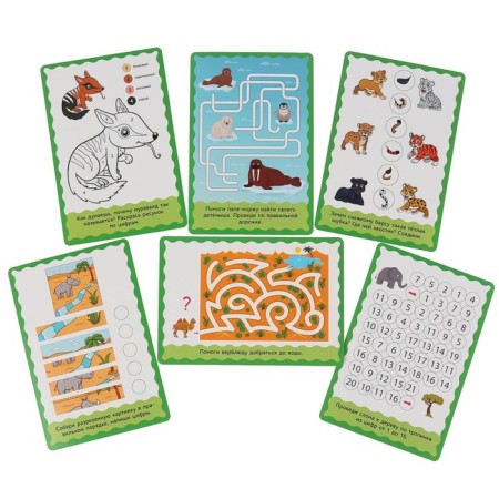 Developing cards "Animals of the Red Book", 32 cards-4