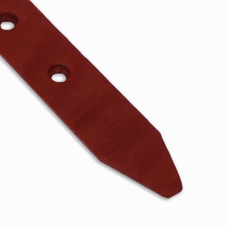 Collar of a single-layer leather, 54 x 2.5 cm, Osh 35-45 cm, brown-5