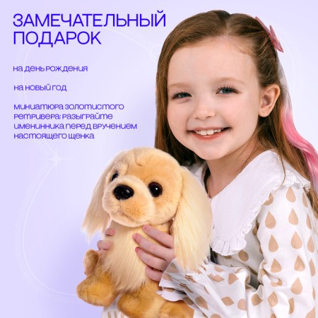 Soft toy "Dog Golden Retriever", 20 cm-3