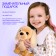 Soft toy "Dog Golden Retriever", 20 cm