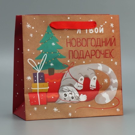Craft square “Gift”, 22 x 22 x 11 cm, New Year-3