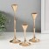 Summary Metal "Sophisticated cone" d = 2 cm, set 3 pcs H = 22 cm, 17 cm, 11.5 cm