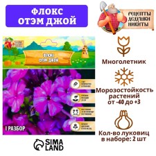 Флокс "Отэм Джой" р-р I, 2 шт,