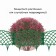 Decorative fence, 34 × 270 cm, 6 sections, plastic, green, "diadem"