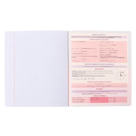 Subject notebook, 36 sheets, cage, algebra, Erichkrause "Timeline", coated cardboard, Blok Offset 100%, information block-4