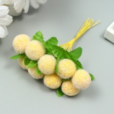 Stamens for flowers 