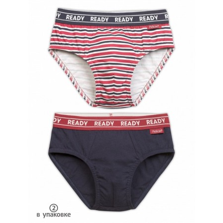 Panties for boys, height 92 cm, burgundy color, dark blue, 2 pcs